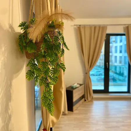 Sea View Luxury 아파트 Năvodari